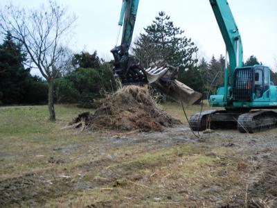 Foto des Albums: Umfangreiche Strandsanierung am Ostufer des Kiebitzsees (17. 02. 2014)