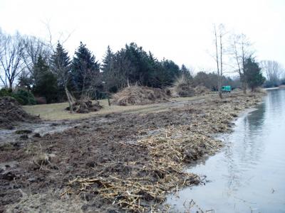 Foto des Albums: Umfangreiche Strandsanierung am Ostufer des Kiebitzsees (17. 02. 2014)