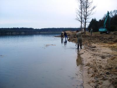 Foto des Albums: Umfangreiche Strandsanierung am Ostufer des Kiebitzsees (17. 02. 2014)