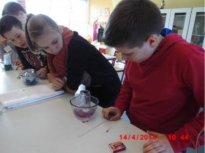 Foto des Albums: Projekttage