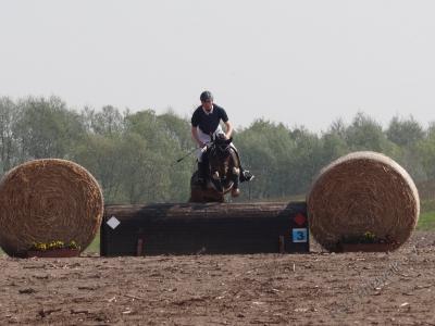 Foto des Albums: 7. Pritzwalker Reitturnier