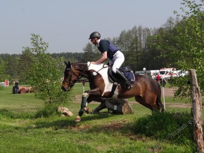 Foto des Albums: 7. Pritzwalker Reitturnier