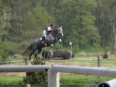 Foto des Albums: 7. Pritzwalker Reitturnier