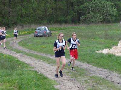 Foto des Albums: 7. Pritzwalker Reitturnier