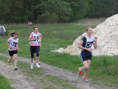 Foto des Albums: 7. Pritzwalker Reitturnier