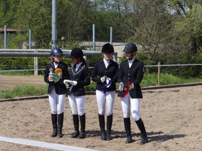 Foto des Albums: 7. Pritzwalker Reitturnier