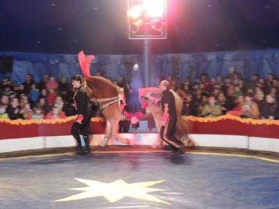 Foto des Albums: Zirkus: Große Vorstellung