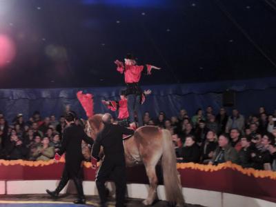 Foto des Albums: Zirkus: Große Vorstellung