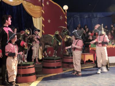 Foto des Albums: Zirkus Große Vorstellung Teil2