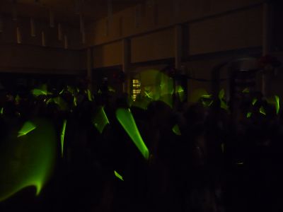 Foto des Albums: Närrisches Treiben am 28. Januar 2014 im Rathaus-Saal