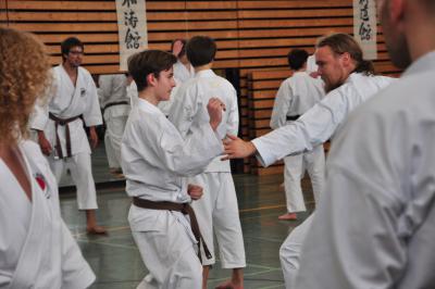 Foto des Albums: Kangeiko 2014 mit Sensei Schlatt