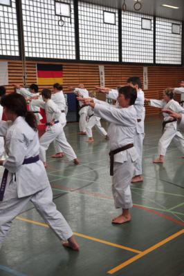 Foto des Albums: Kangeiko 2014 mit Sensei Schlatt