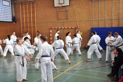 Foto des Albums: Kangeiko 2014 mit Sensei Schlatt