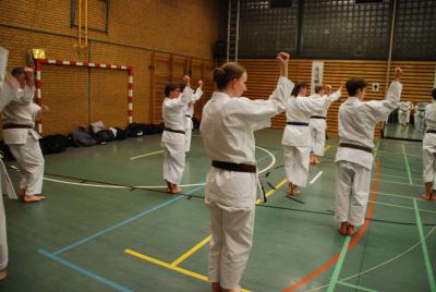 Foto des Albums: Kangeiko 2014 mit Sensei Schlatt