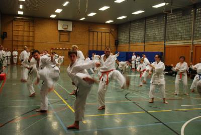 Foto des Albums: Kangeiko 2014 mit Sensei Schlatt