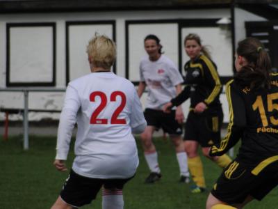 Foto des Albums: Falkenthal - HSV