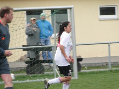 Foto des Albums: Falkenthal - HSV