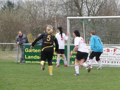 Foto des Albums: Falkenthal - HSV