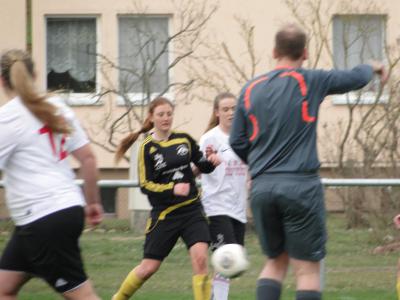 Foto des Albums: Falkenthal - HSV