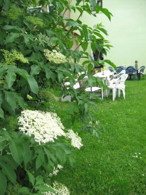 Foto des Albums: Frühlingsgrüße