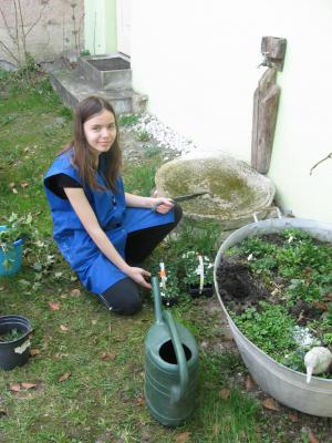 Foto des Albums: Frühlingsgrüße