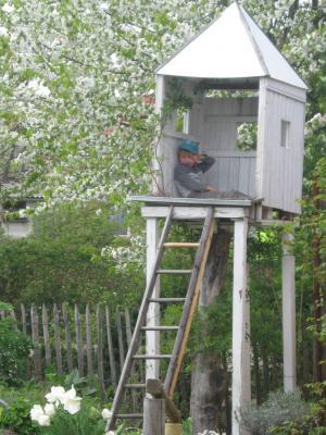 Foto des Albums: Frühlingsgrüße