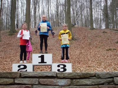 Foto des Albums: Crosslauf