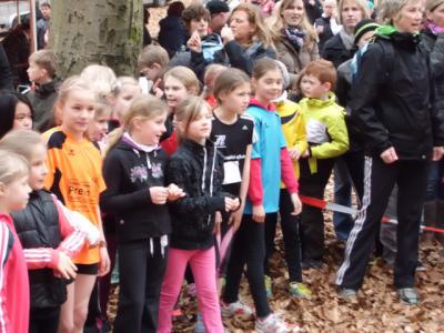 Foto des Albums: Crosslauf