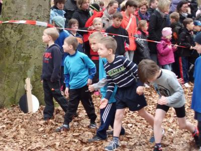 Foto des Albums: Crosslauf
