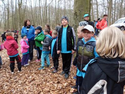 Foto des Albums: Crosslauf