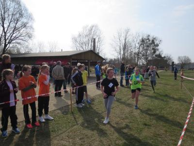 Foto des Albums: Crosslauf in Mildenberg