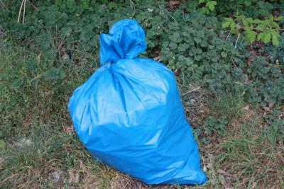Foto des Albums: Frühjahrsputz 2014