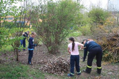 Foto des Albums: Frühjahrsputz 2014