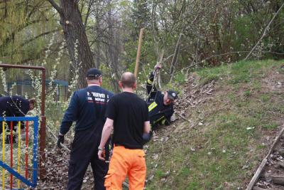 Foto des Albums: Frühjahrsputz 2014