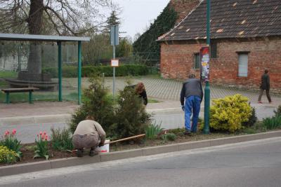 Foto des Albums: Frühjahrsputz 2014