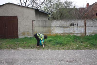 Foto des Albums: Frühjahrsputz 2014
