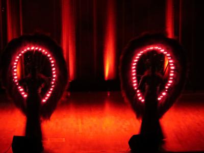 Foto des Albums: Magie der Travestie - Die Nacht der Illusionen!