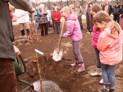 Foto des Albums: Modellpark Alt Daber - Eröffnung (05.04.2014)