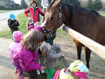 Foto des Albums: Kleine „Hummeln“ aus Steffenshagen auf Rohwedders Hof