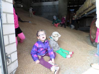 Foto des Albums: Kleine „Hummeln“ aus Steffenshagen auf Rohwedders Hof