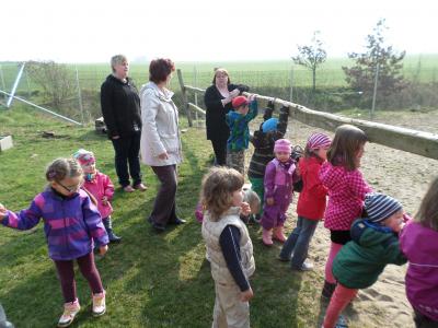 Foto des Albums: Kleine „Hummeln“ aus Steffenshagen auf Rohwedders Hof