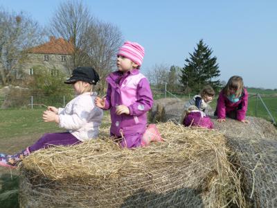 Foto des Albums: Kleine „Hummeln“ aus Steffenshagen auf Rohwedders Hof