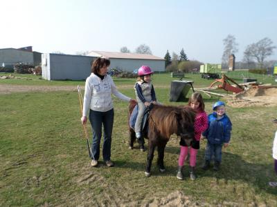 Foto des Albums: Kleine „Hummeln“ aus Steffenshagen auf Rohwedders Hof