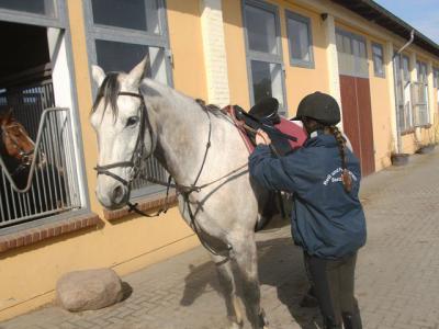 Foto des Albums: Osterritt (21.04.2014)