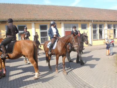 Foto des Albums: Osterritt (21.04.2014)