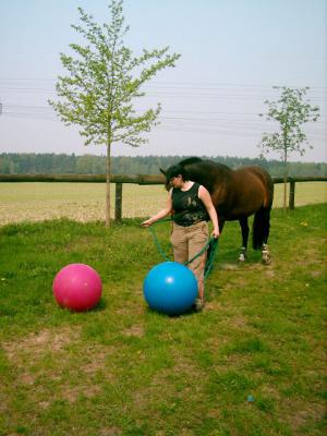 Foto des Albums: Gelassenheitstraining (03.06.2006)