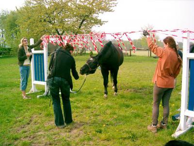 Foto des Albums: Gelassenheitstraining (03.06.2006)