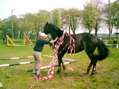 Foto des Albums: Gelassenheitstraining (03.06.2006)