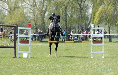 Start-Nr. 01 