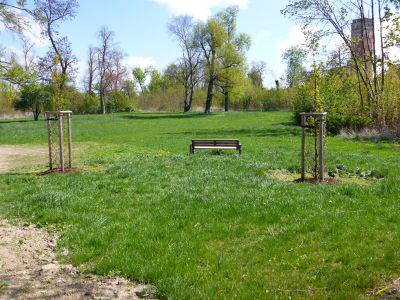 Foto des Albums: Freigabe Neugestaltung Klosterpark Mühlberg